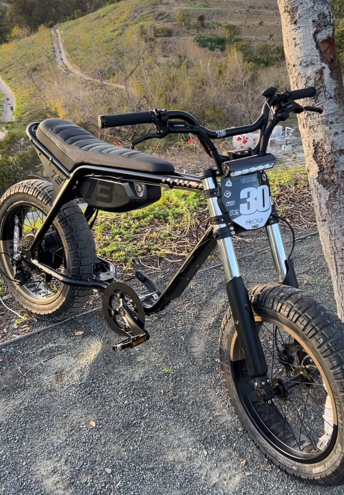 Chrome fork wrap